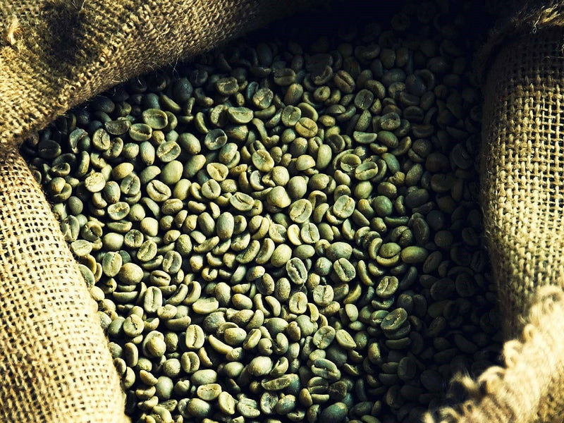 How Coffee Roasters Choose Their Coffees And Why It Matters